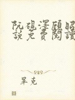 阮砚泽顾昭宁小说免费阅读最新章节