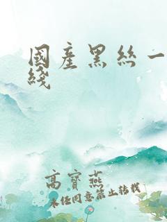 国产黑丝一区在线