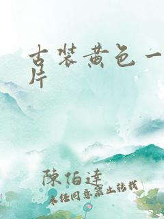 古装黄色一级大片