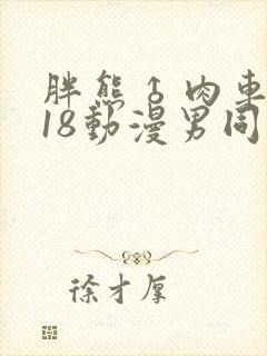 胖熊♂肉车黄r18动漫男同