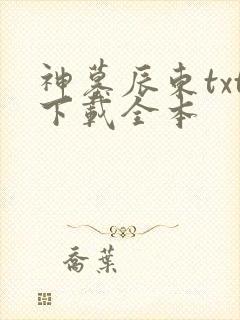 神墓辰东txt下载全本