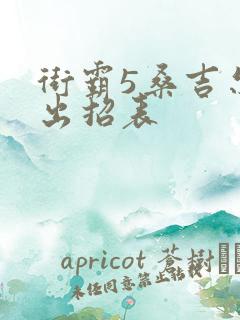 街霸5桑吉尔夫出招表