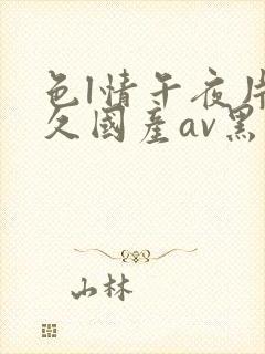 色l情午夜片久久国产av黑人