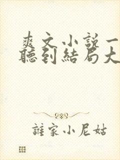 爽文小说一口气听到结局大女主