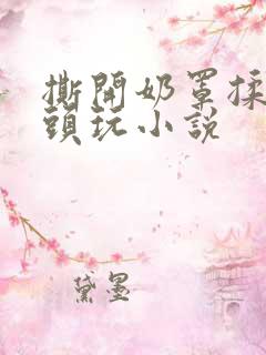 撕开奶罩揉吮奶头玩小说