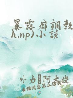 暴露癖调教(高h,np)小说