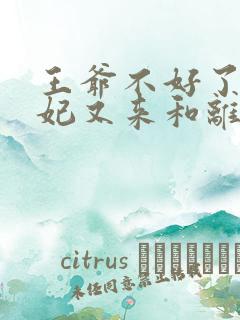 王爷不好了,王妃又来和离了