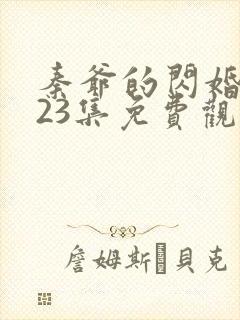 秦爷的闪婚短剧23集免费观看