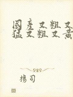 国产又粗又爽又猛又粗又黄的视频