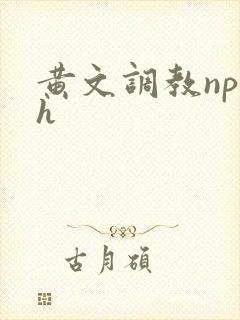 黄文调教np高h