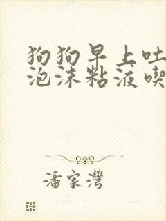 狗狗早上吐黄色泡沫粘液吃什么药