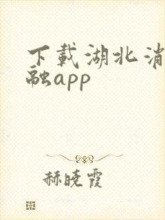 下载湖北消费金融app