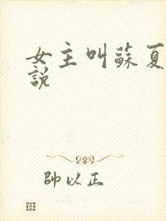 女主叫苏夏的小说