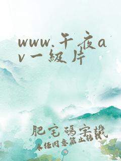 www.午夜av一级片