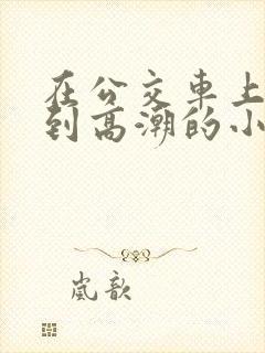 在公交车上被弄到高潮的小说