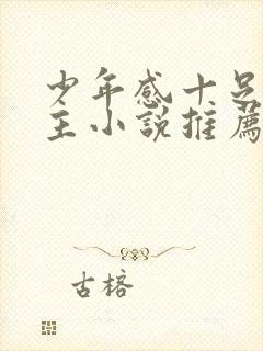 少年感十足的男主小说推荐