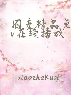 国产精品免费av在线播放