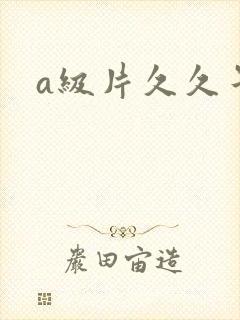 a级片久久午夜