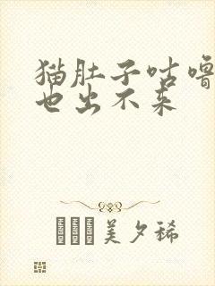 猫肚子咕噜叫尿也出不来