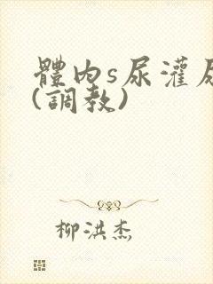 体内s尿灌尿h(调教)