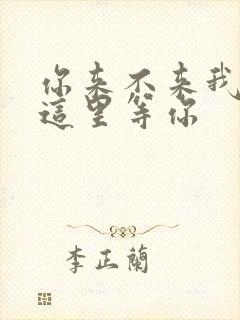 你来不来我都在这里等你