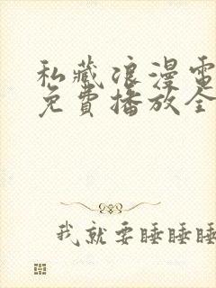 私藏浪漫电视剧免费播放全部