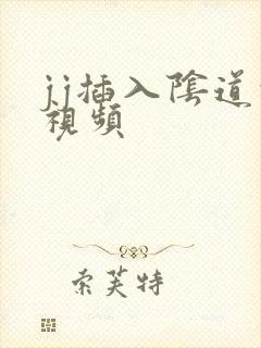 jj插入阴道的视频