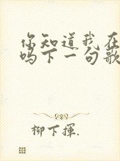 你知道我在想你吗下一句歌词