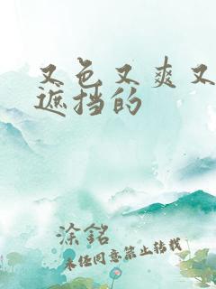 又色又爽又黄无遮挡的