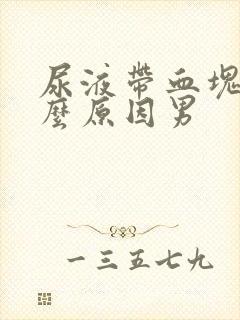 尿液带血块是什么原因男