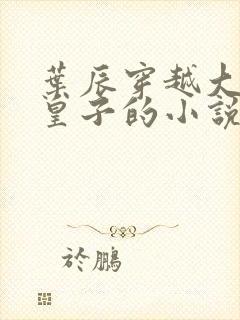 叶辰穿越大夏九皇子的小说