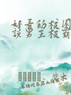 好看的校园文小说男主校霸