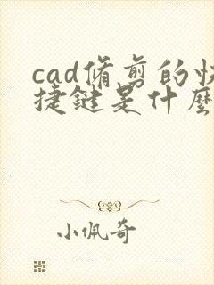 cad修剪的快捷键是什么