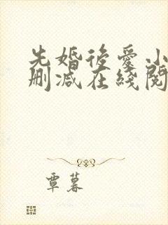 先婚后爱小说无删减在线阅读