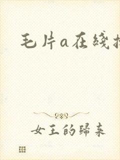 毛片a在线播放