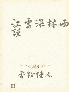 江云深林雨洛小说