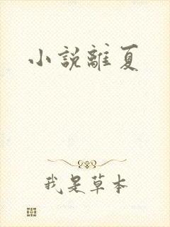 小说离夏