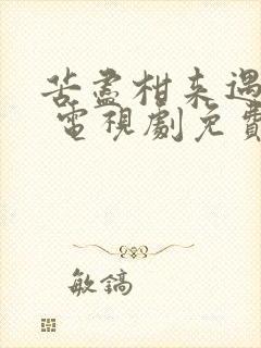 苦尽柑来遇见你 电视剧免费观看中