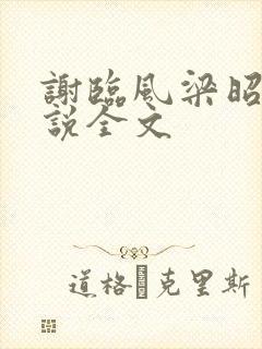 谢临风梁昭昭小说全文