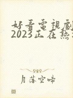 好看电视剧推荐2023正在热播的剧