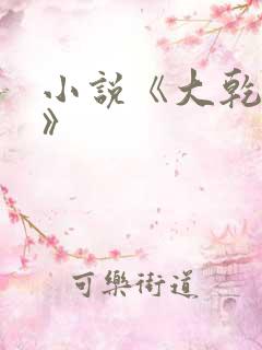 小说《大乾憨婿》