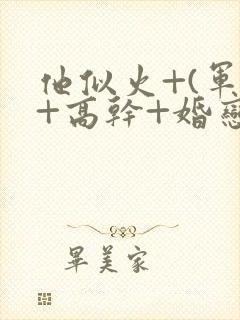 他似火+(军婚+高干+婚恋)