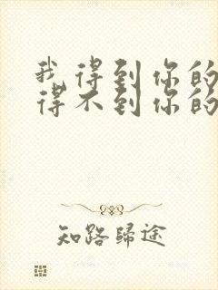 我得到你的心却得不到你的人歌词