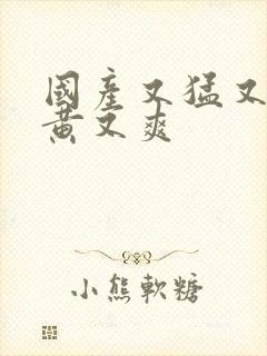 国产又猛又粗又黄又爽