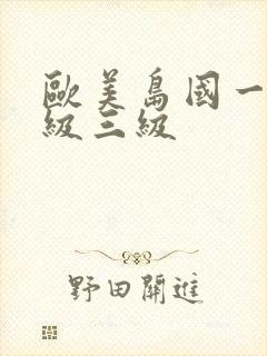 欧美岛国一级二级三级