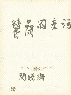 精品国产污污免费网