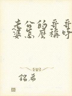 老公的哥哥的老婆怎么称呼