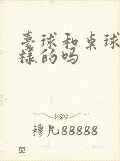 台球和桌球是一样的吗