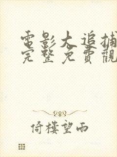 电影大追捕在线完整免费观看国语