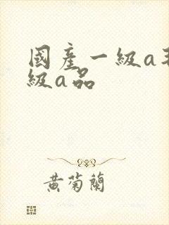 国产一级a毛一级a品